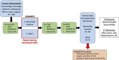 Feasibility and safety of planned early discharge following laparotomy in gynecologic oncology with enhanced recovery protocol including opioid-sparing anesthesia